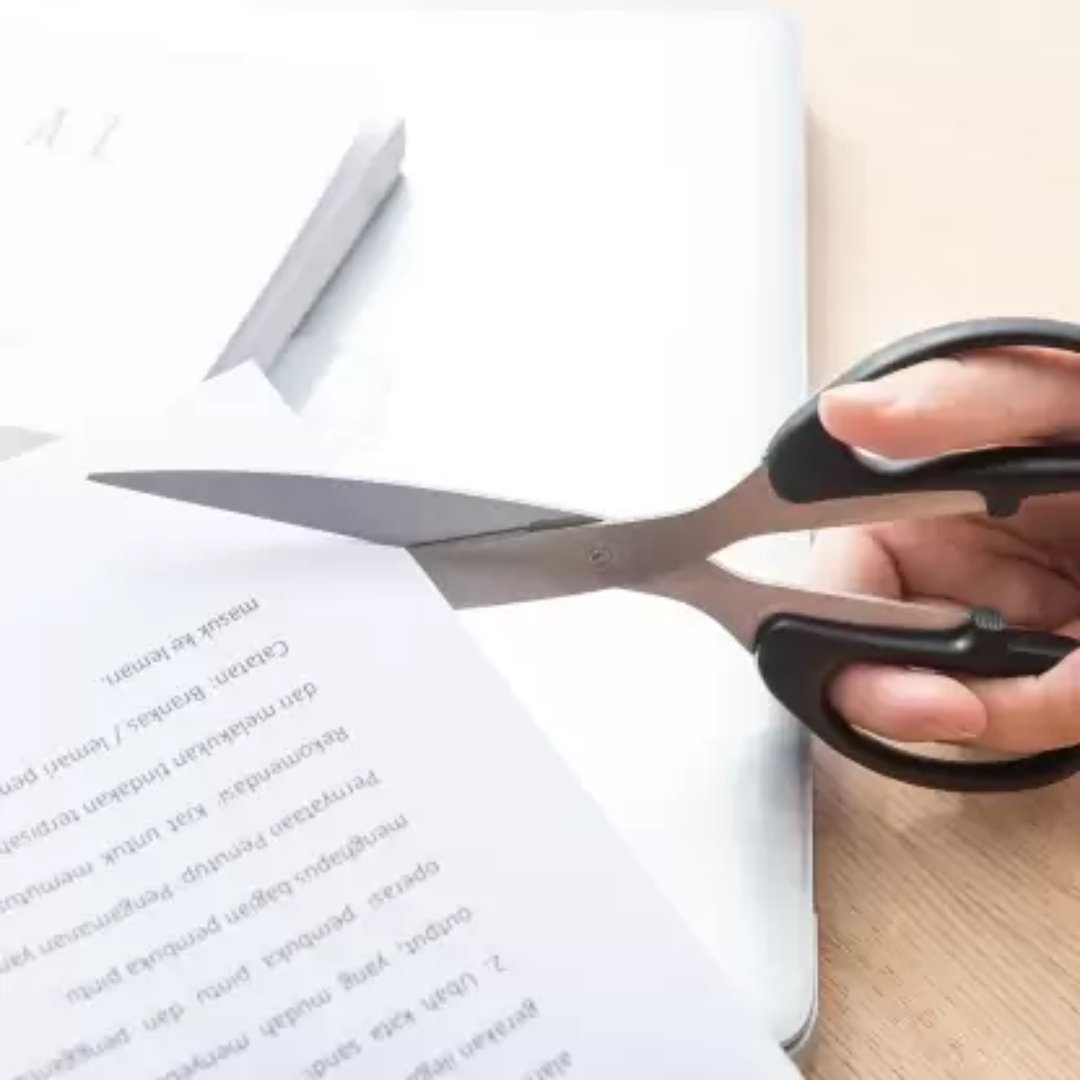 Deli Classic 210mm Stainless Steel Scissors