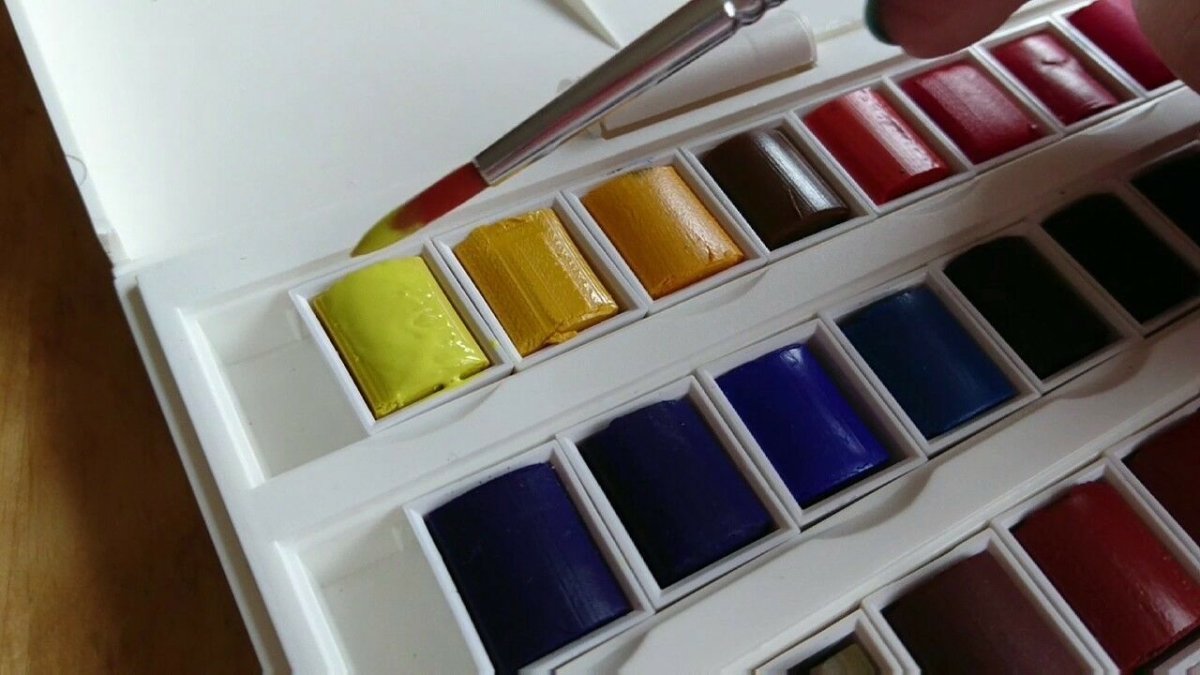 Winsor & Newton Cotman Water Colour (Pack Of 21)