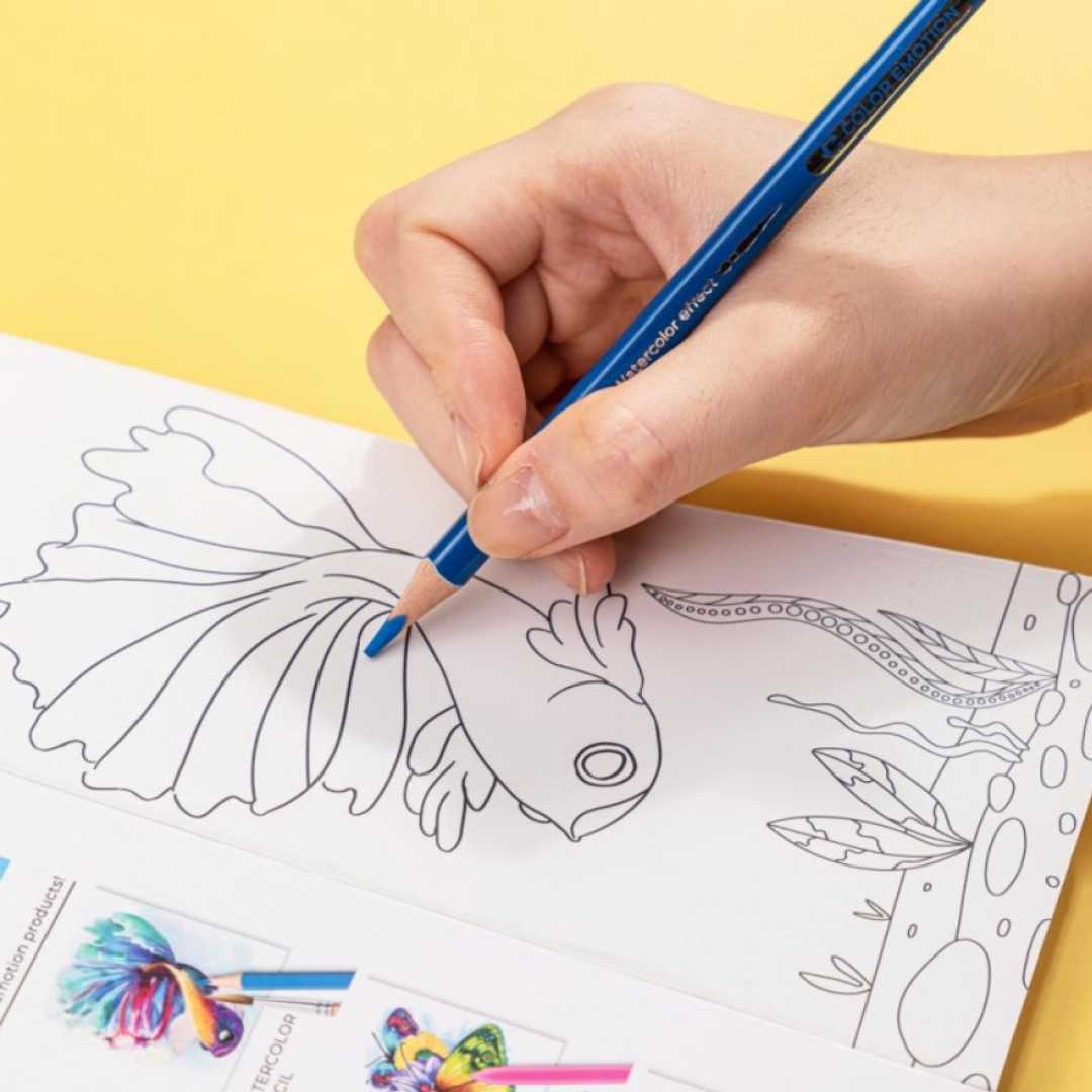 Deli Color Emotion 12 Watercolor Pencils