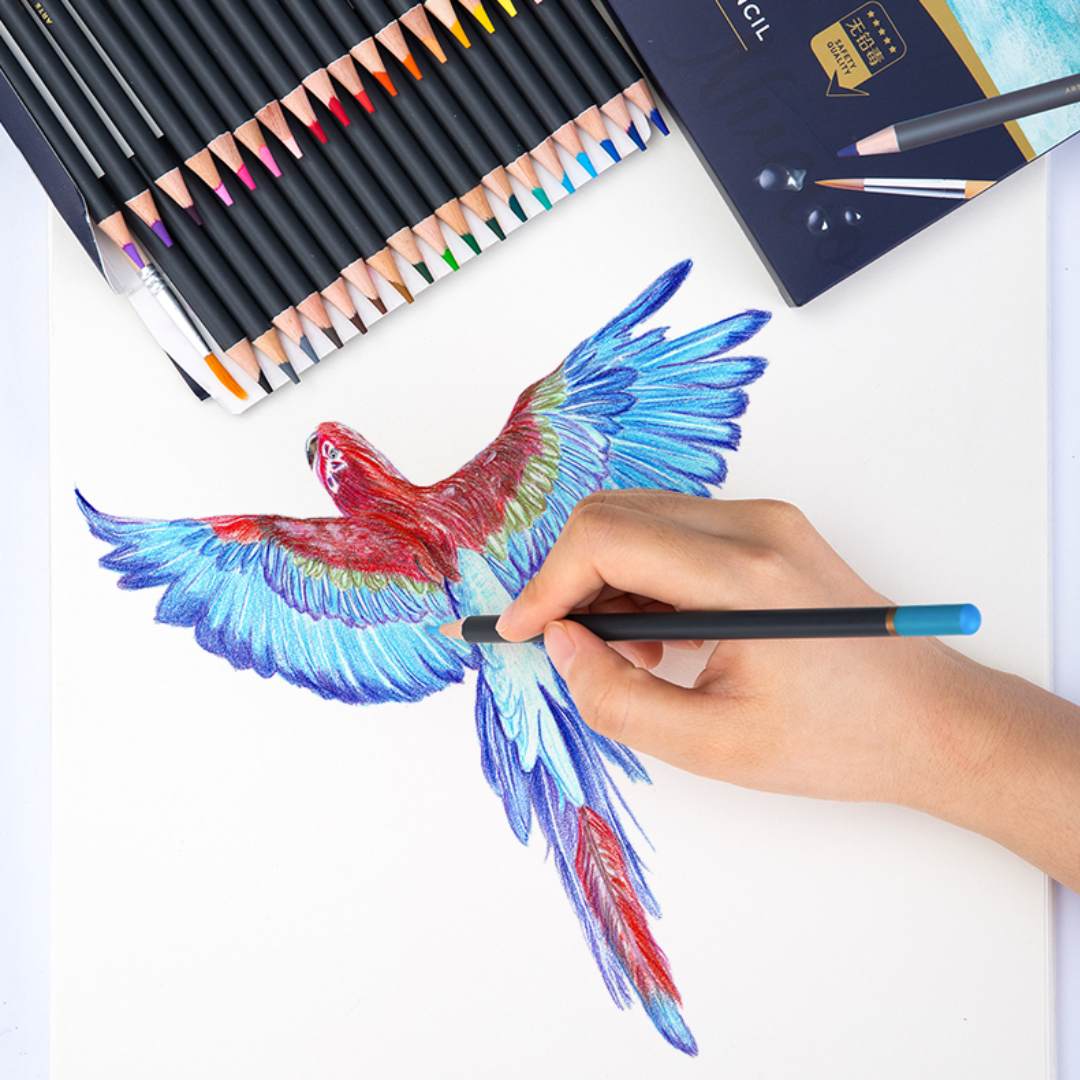 Deli Arte Nuevo Watercolor Pencils