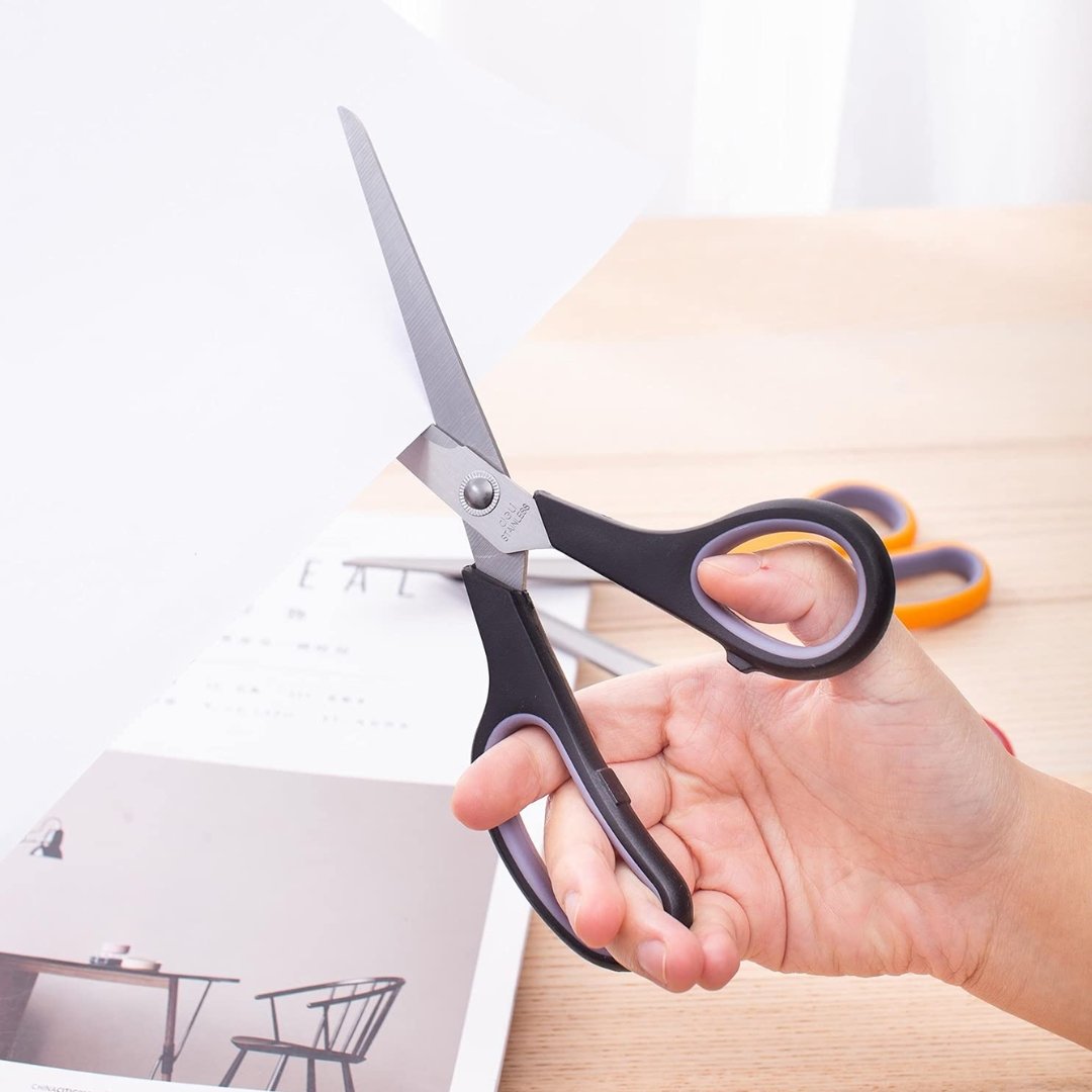 Deli Clasic Stainless Steel Scissors