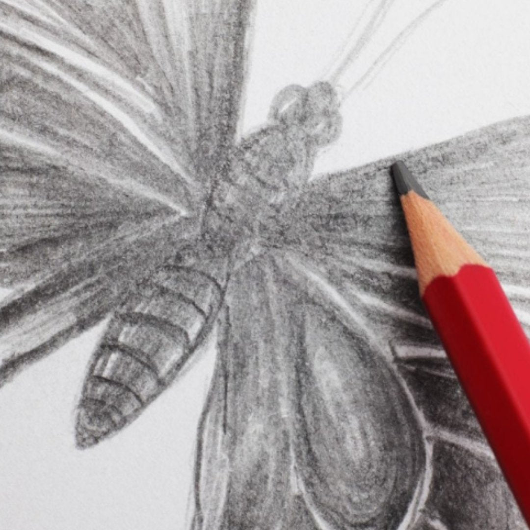 Mont Marte Graphite Pencils Pack Of 12