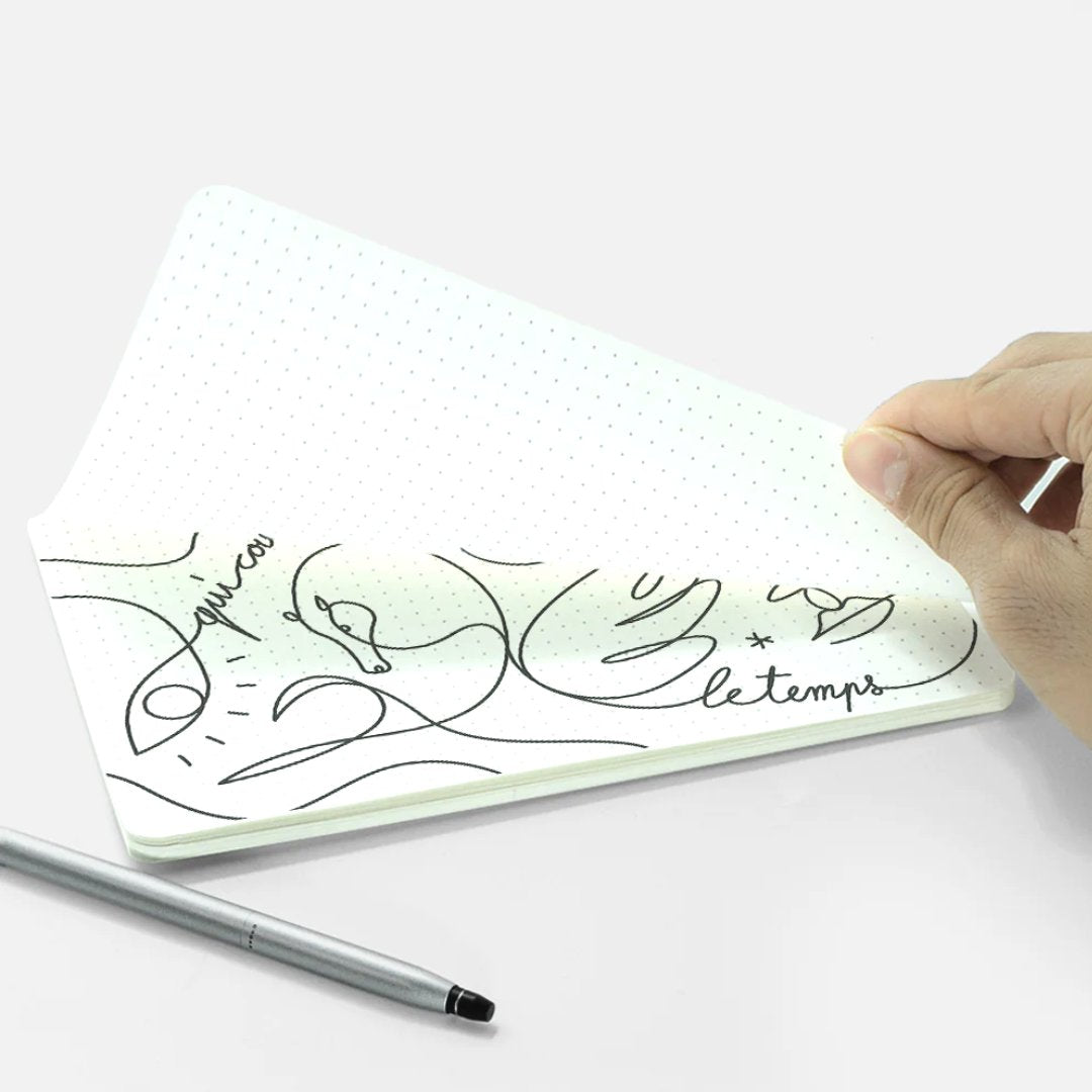 Papercoal Desk Notes Pack Of 3