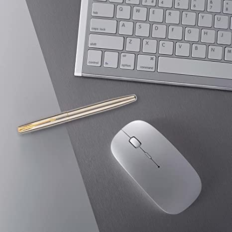 Parker Frontier Stainless Steel Gold Trim Fountain Pen