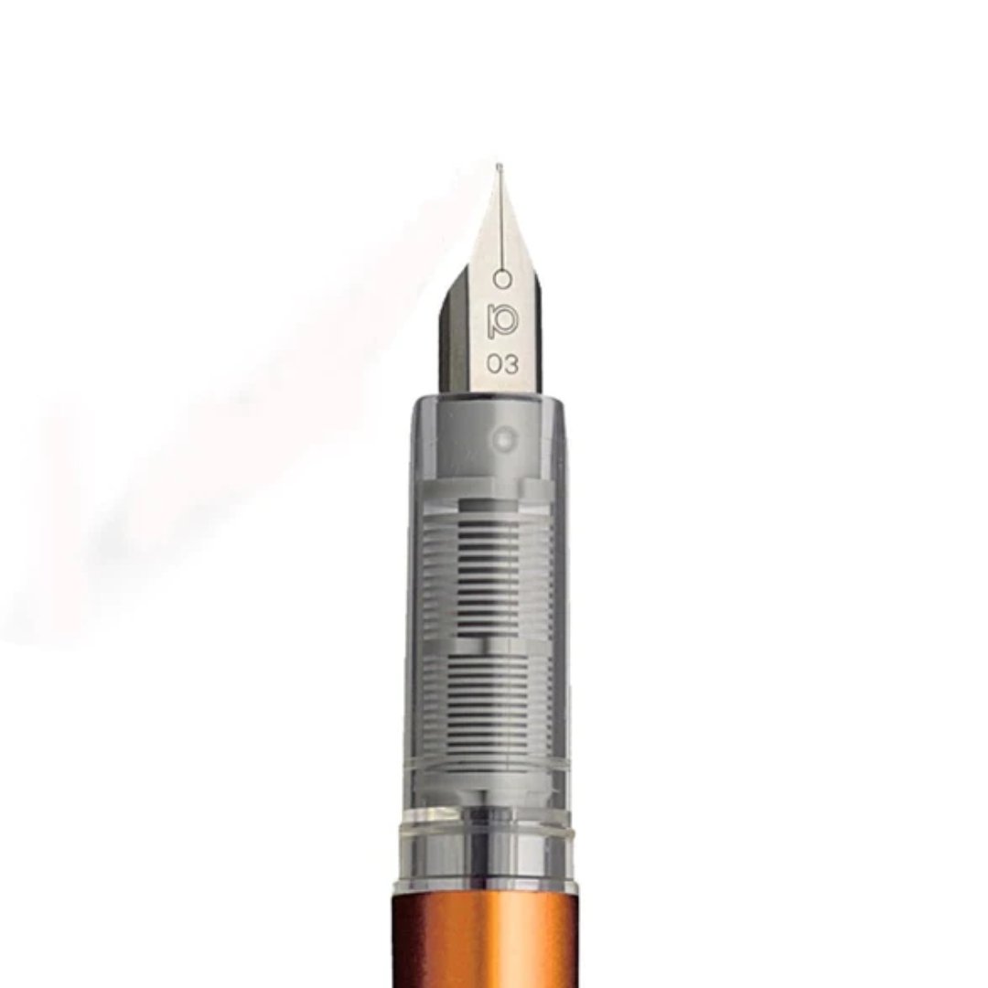 Platinum Plaisir Fountain Pen Medium