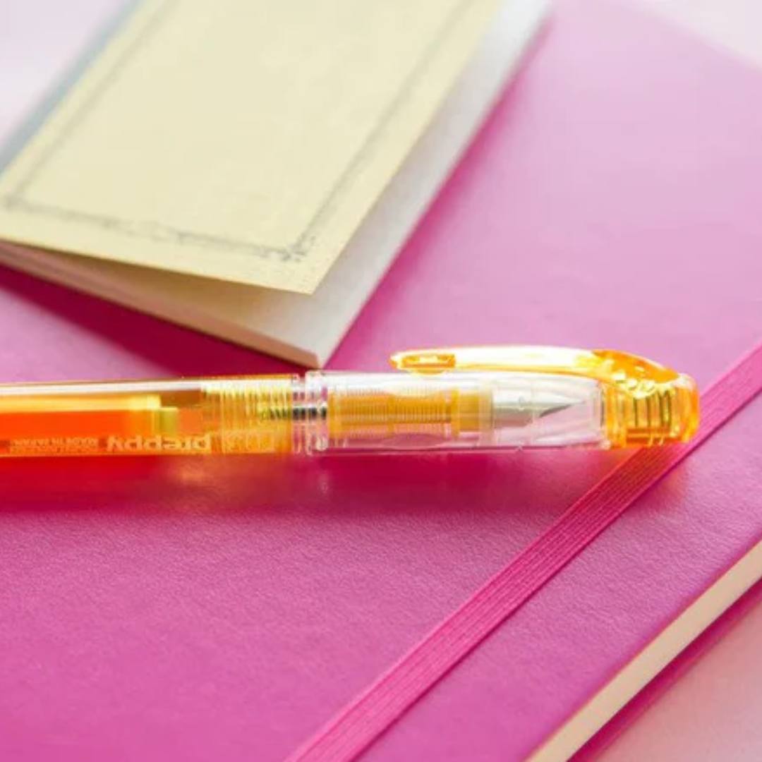 Platinum Preppy Fountain pens F/03