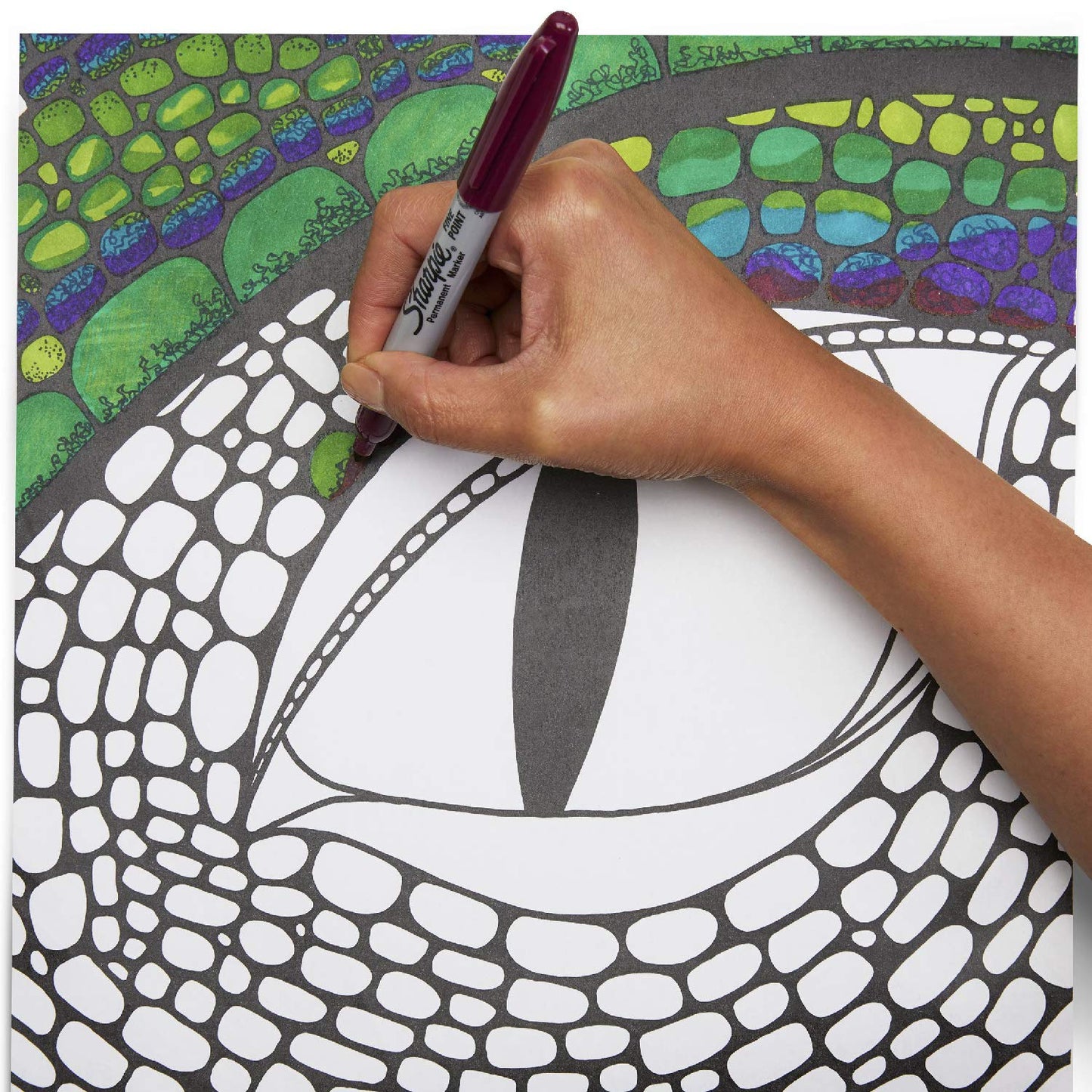 Sharpie Twin Tip Permanent Markers, Fine & Ultra Fine Points