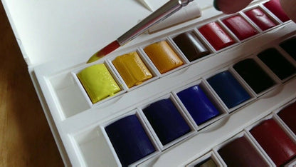 Winsor & Newton Cotman Water Colour (Pack Of 21)